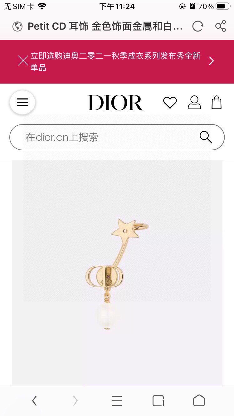 Christian Dior Earrings